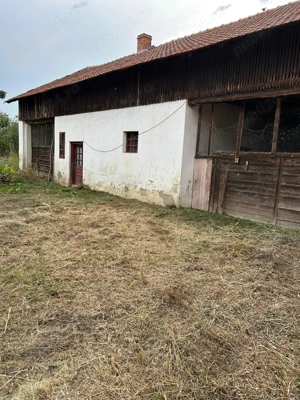 Vând casă în Sculia,Orașul Gătaia,Jud Timiș (2158mp) - imagine 7