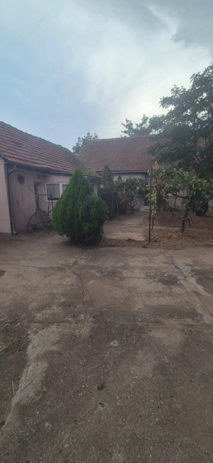 Vând casă în Sculia,Orașul Gătaia,Jud Timiș (2158mp) - imagine 9