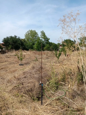 Vând teren intravilan Lilieci Ialomița  - imagine 3