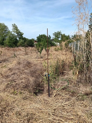 Vând teren intravilan Lilieci Ialomița  - imagine 6