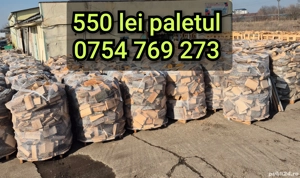 depozit lemne de foc arad cartierul grădiște în incinta fostelor sere Str calea Zimandului nr 3 - imagine 4