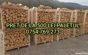 depozit lemne de foc arad cartierul grădiște în incinta fostelor sere Str calea Zimandului nr 3 - imagine 2