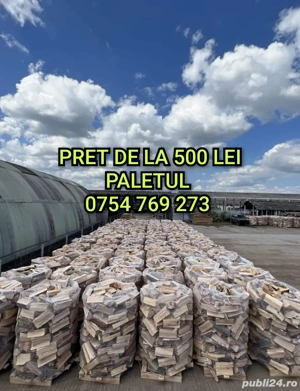 depozit lemne de foc arad cartierul grădiște în incinta fostelor sere Str calea Zimandului nr 3 - imagine 3