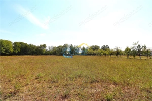 Teren intravilan de vanzare Banesti, Prahova - imagine 2 Teren intravilan de vanzare Banesti, Prahova - imagine 2