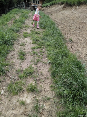 vînd capre - imagine 2 vînd capre - imagine 2