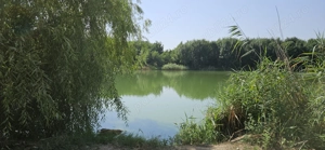 Casă batraneasca 3 cam + teren 1.056 mp cu iesire la lac, Petrachioaia