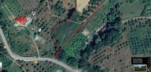 Vand teren cu pomi fructiferi + teren agricol  - imagine 10