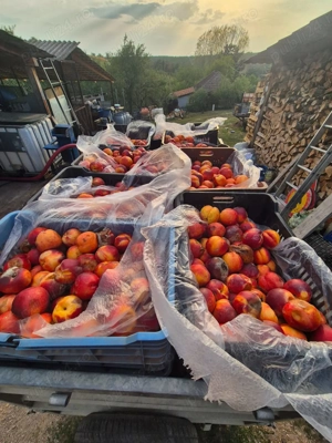 Vând pălinca de Bihor 