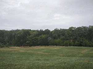 Teren 782 mp intravilan Ipotești deschidere la 3 străzi utilități - imagine 2