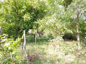 Ciuchici, Casa 7 Incaperi, 1151mp Teren, Pret Negociabil, ZERO COMISION - imagine 16