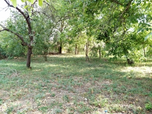 Ciuchici, Casa 7 Incaperi, 1151mp Teren, Pret Negociabil, ZERO COMISION - imagine 14