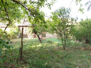 Ciuchici, Casa 7 Incaperi, 1151mp Teren, Pret Negociabil, ZERO COMISION - imagine 10