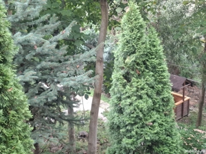 se vinde casa p+m si teren - imagine 10