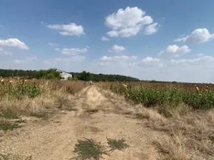 teren intravilan Snangov  - imagine 5