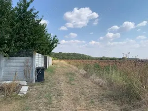 teren intravilan Snangov  - imagine 6