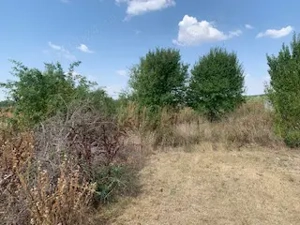 teren intravilan Snangov  - imagine 8