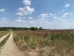 teren intravilan Snangov  - imagine 9