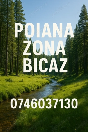 Poiană ascunsă - zona Bicaz cota 500+