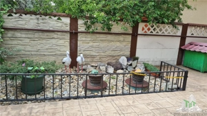 Super afacere, vila cu aspect de conac cu spatii moderne dar si clasice antichizate, orientale sau a - imagine 5