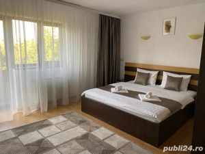 Pensiune 3 stele 12 camere Timisoara Centru-zona Nord - imagine 3