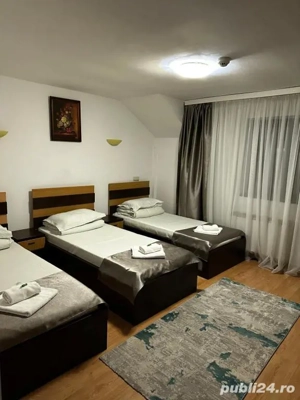 Pensiune 3 stele 12 camere Timisoara Centru-zona Nord - imagine 2