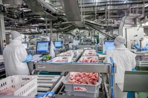 Oferte de muncă în Belgia