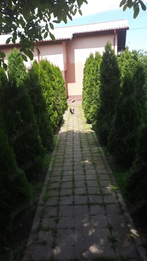 Casa Adunatii Copaceni - imagine 5