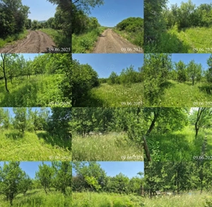 Teren extravilan,  loc. Bobohalma, jud. Mures