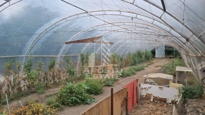 Casa individuala, teren generos, oportunitate de investitie - imagine 16