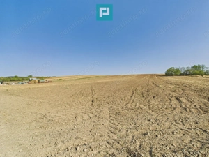 TEREN REMETEA MICĂ, JUDEȚUL TIMIȘ - imagine 8