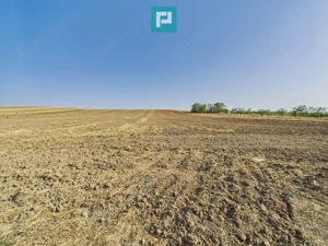 TEREN REMETEA MICĂ, JUDEȚUL TIMIȘ - imagine 6