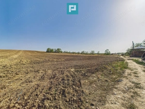 TEREN REMETEA MICĂ, JUDEȚUL TIMIȘ - imagine 7