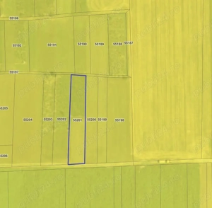 2 Terenuri extravilane, Sat Greci, Com. Schitu, 744m2 si 1271 m2 - imagine 2