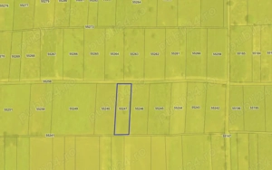 2 Terenuri extravilane, Sat Greci, Com. Schitu, 744m2 si 1271 m2