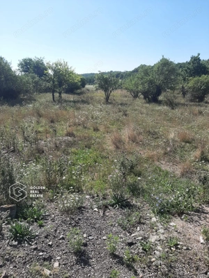 Terenuri 1300 mp, Lipova - imagine 2