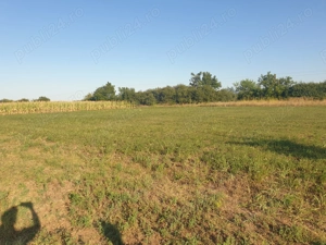 Vanzare 2 parcele de teren 720 mp. Zadareni - Bodrog la Pret Redus - imagine 4