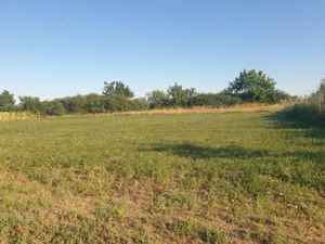 Vanzare 2 parcele de teren 720 mp. Zadareni - Bodrog la Pret Redus - imagine 3