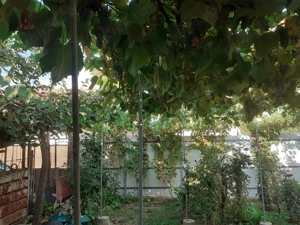 Vând proprietate  - imagine 5