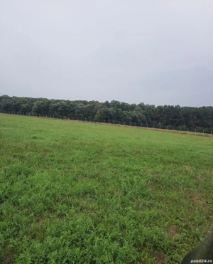 Teren intravilan 73 ari 3000 euro ar Dragomirna ideal investiție - imagine 3