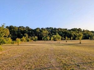 De vânzare: Teren 12.600 mp – Ghiroda - Comision 0%