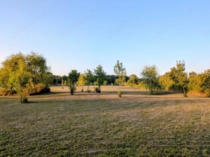 De vânzare: Teren 12.600 mp – Ghiroda - Comision 0% - imagine 7