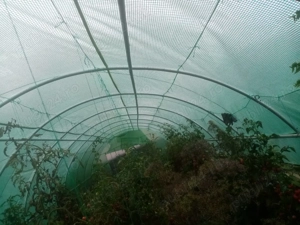 2 Solarii - lungimi diferite 14 M sau 10 M