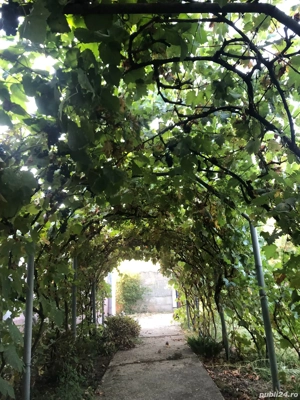 Vand casa, comuna Tiganesti, judetul Teleorman - imagine 2