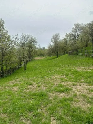 Teren intravilan Valea Doftanei 