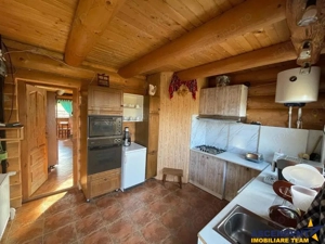 FILM! Resedinte montane,mobilate,echipate, jacuzzi,piscina,pretios areal,Sambata de Sus - imagine 5