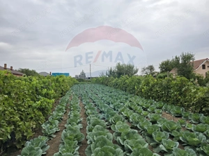 Casă / Vilă cu 5 camere de vânzare - imagine 12