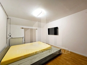 Casa individuala de inchiriat, Cetate - imagine 13