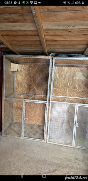 Vand 2 custi ptr pasari exotice!