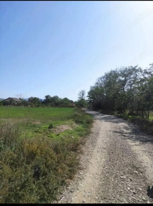 Teren sat Siretu, comuna Letea Veche 