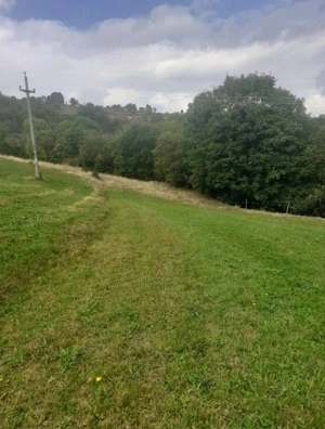 Teren de vanzare,2807 mp